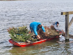 Boot mit Laichnester