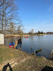 umgeschnittener Baum