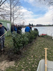 Die fertige Baumreihe