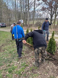 Thujen beim Putzplatz