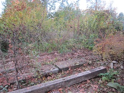 Der leere Holzlagerplatz