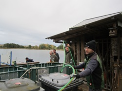 Phillip Koppensteiner