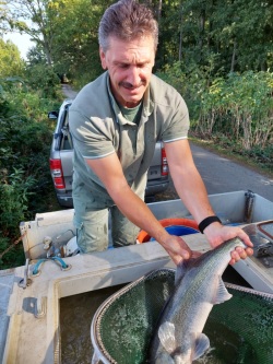 Franz lässt einen Zander fallen