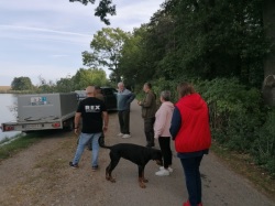 Behälter mit Fischen