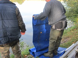 Die Schaluchrutsche und Ignaz