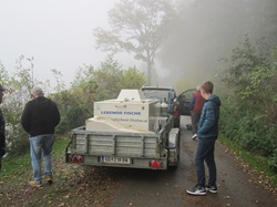 Behälter mit Fischen