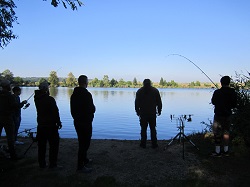 Heavy drillt einen Karpfen