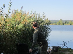 Heavy drillt einen Karpfen