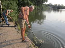 Herber Wachter beim Keschern