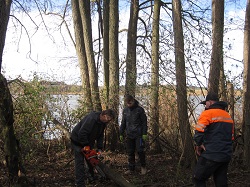 Anton Rockenbauer mit der Motorsäge