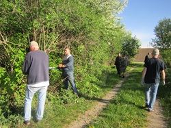 Sträucherschnitt bei den Plätzen