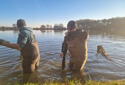 Einsebahnschweller zur Befestigung