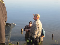 Sträucherschnitt bei den Plätzen