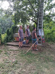 Arbeiten bei einem Baum