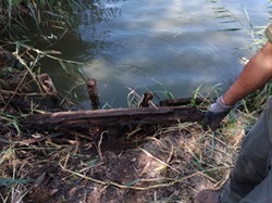 Sanierung beim Abfluss