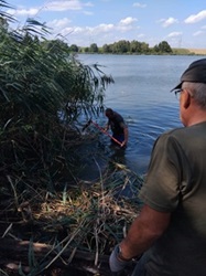 Ein Helfer im Wasser