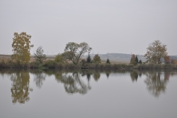 Foto vom Teich