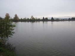 der Teich